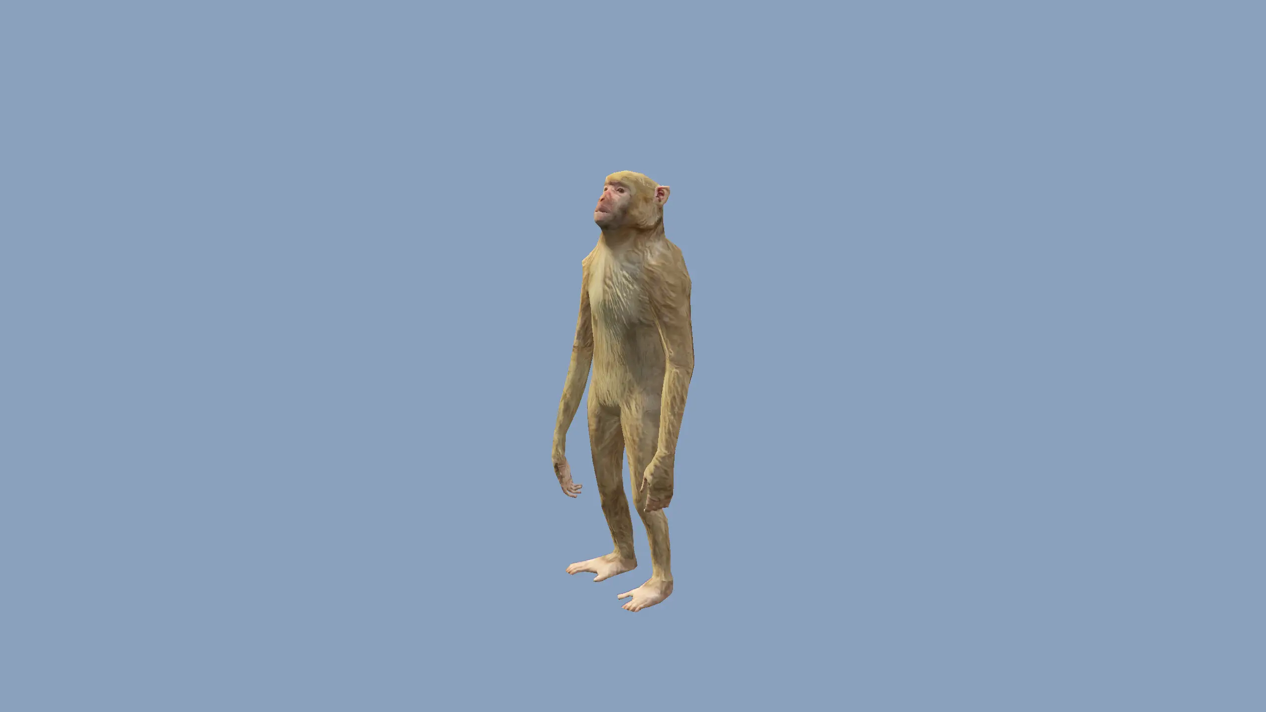 a_c_rhesus